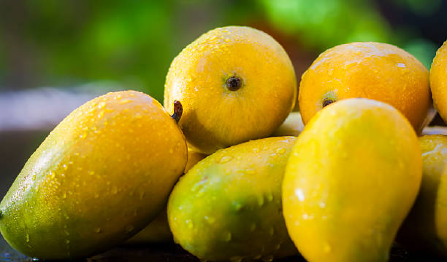 INDIA MANGOES